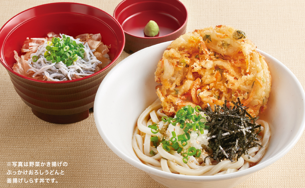 野菜かき揚げのぶっかけおろしうどんと釜揚げしらす丼