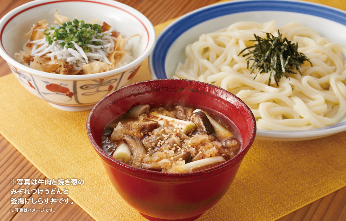 牛肉と焼き葱のみぞれつけうどんと釜揚げしらす丼