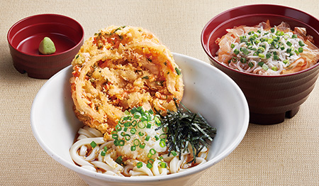 野菜かき揚げのぶっかけおろしうどんと釜揚げしらす丼